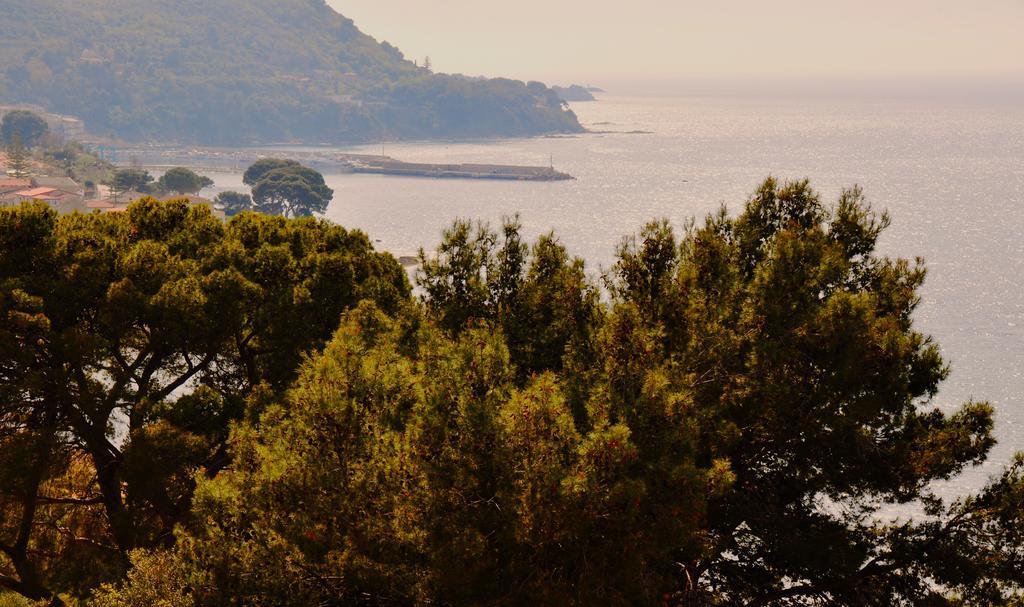 Villa Laura Sea View Apartments Santa Maria di Castellabate Extérieur photo